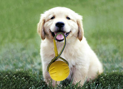 聚力瞬间胶解决tpr热塑性橡胶难粘问题